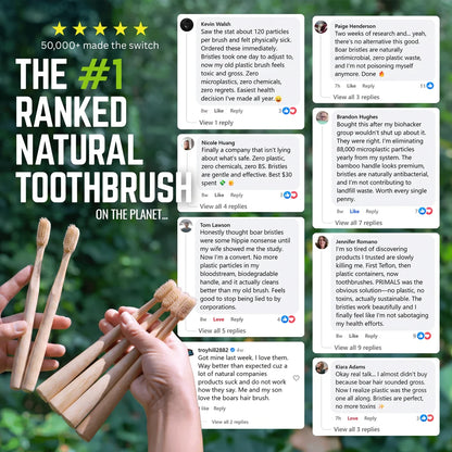 Bamboo Horsehair Toothbrush