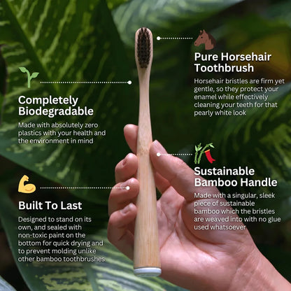 Bamboo Horsehair Toothbrush